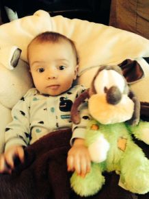 My Dad is a real bozo