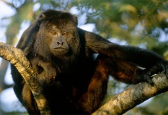 Really? Right in the junk? Who does that?  