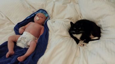 Yeah this isn't really working for me