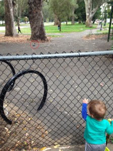 He did it. Darn you pigeon. Darn you. 