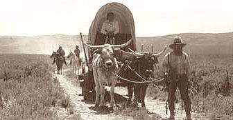 932c23fb3e2be4f44550a64abcb92c6b